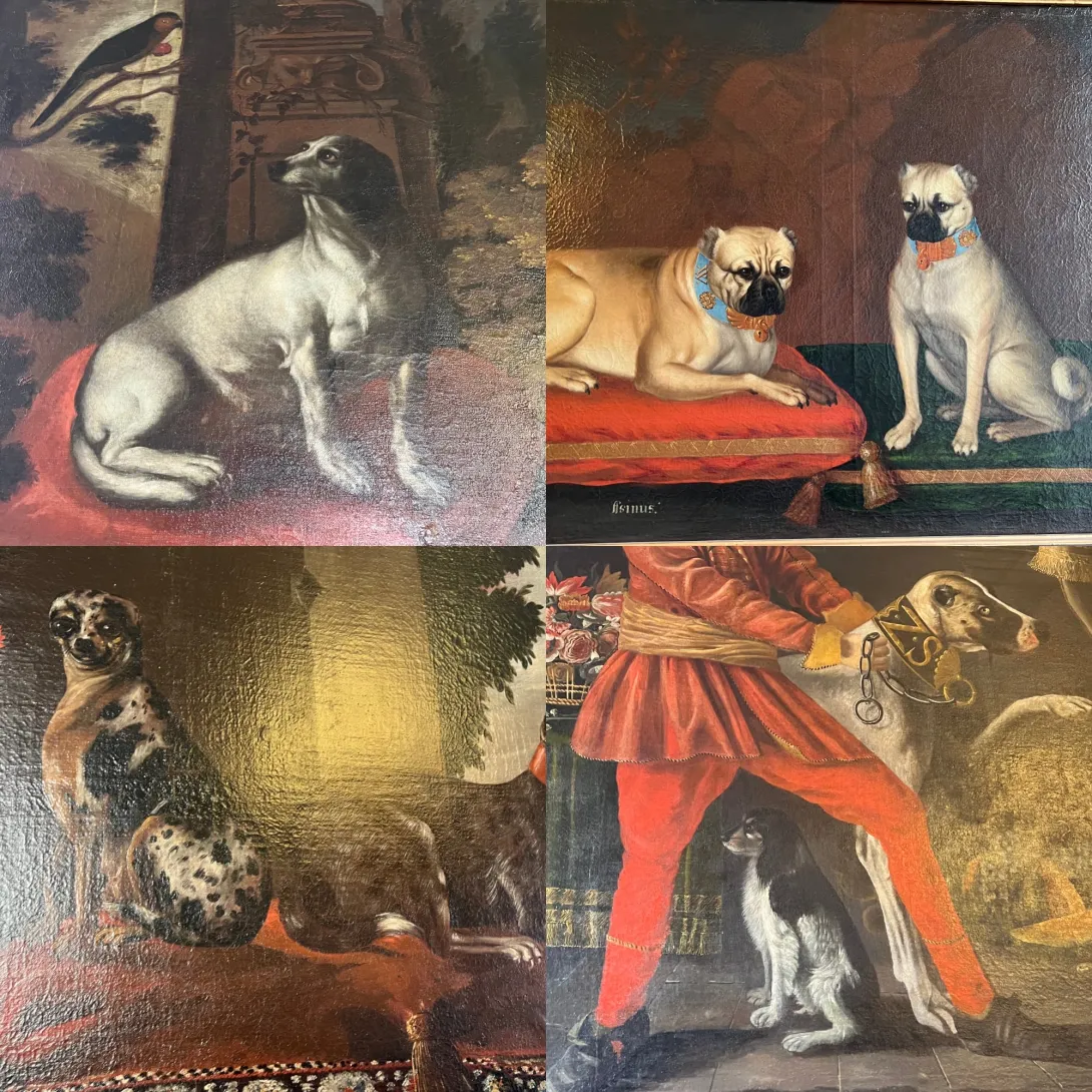 Montage of various old-timey dogs in portraits