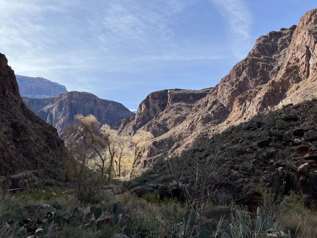 View of the bottom of the canyon showing cottonwood trees, cacti, and beautiful rock formations.