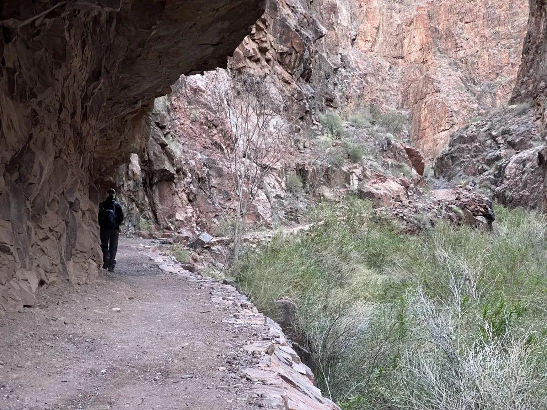 Trail in canyon with a rock overhang next to a stream with lots of tall grass