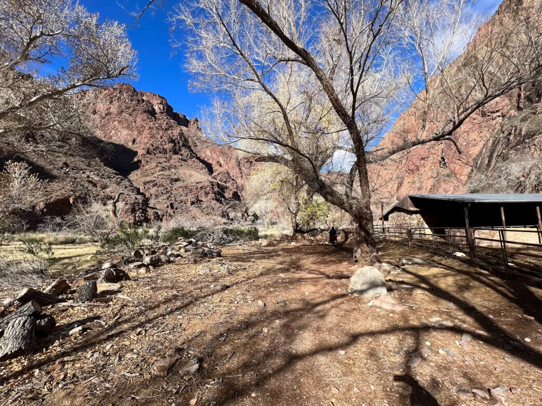 View of a valley in the canyon with beautiful large trees and a pole barn on the right.