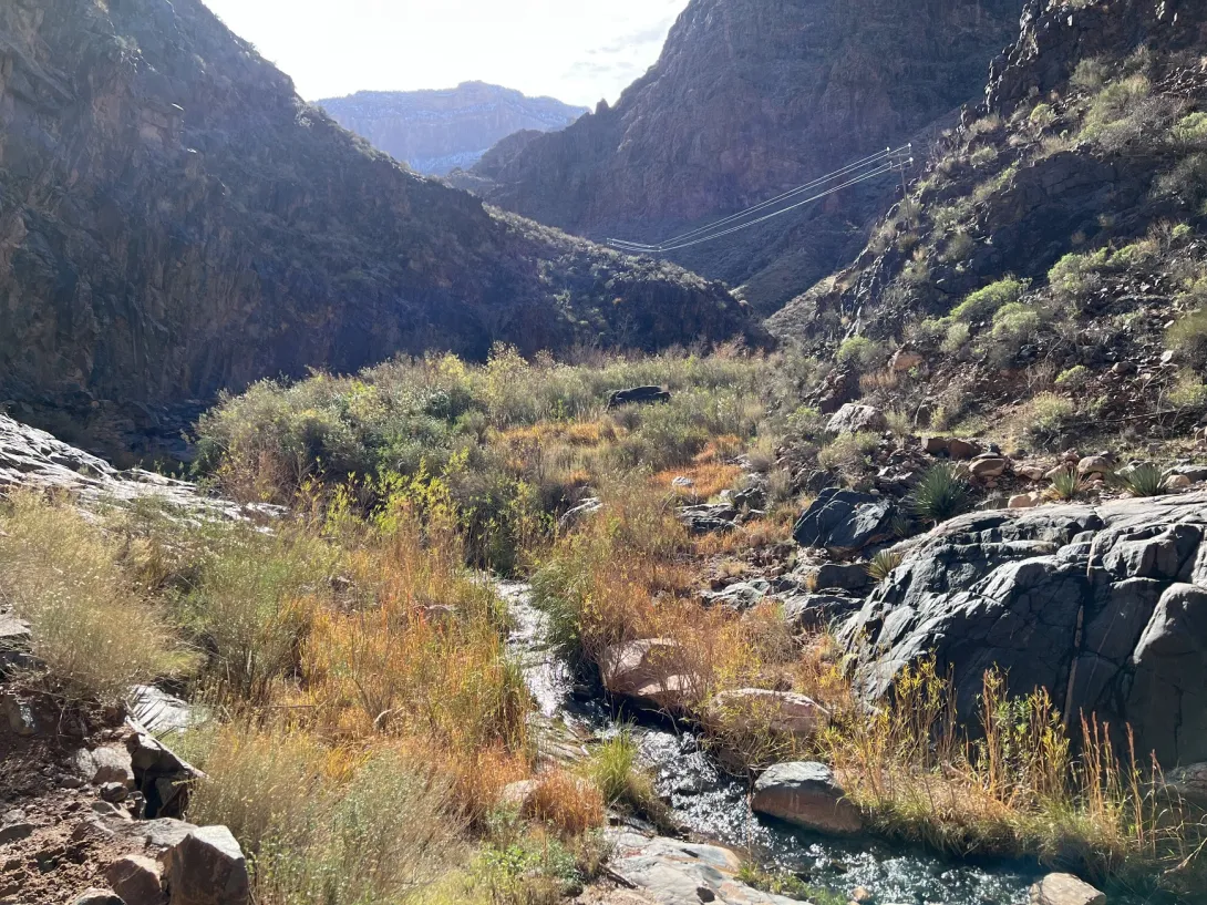 Stream going through a valley in the canyon. There is grass on both sides  of the narrow stream