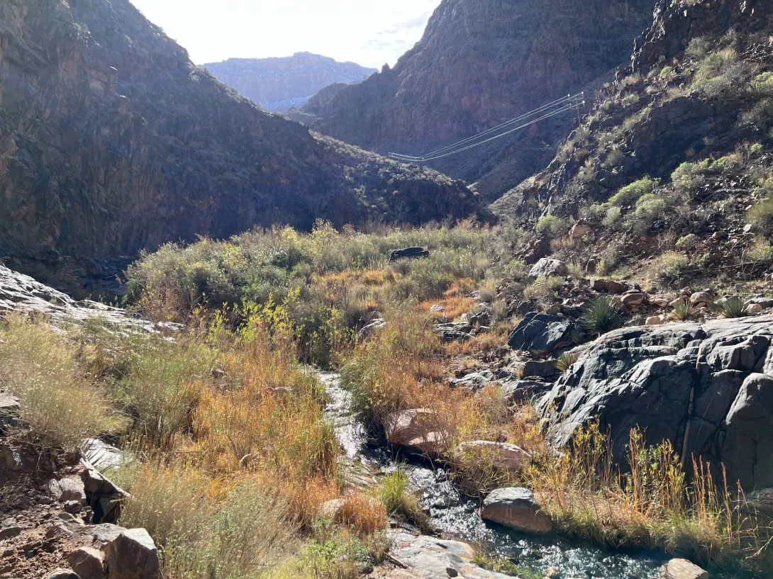 Stream going through a valley in the canyon. There is grass on both sides of the narrow stream