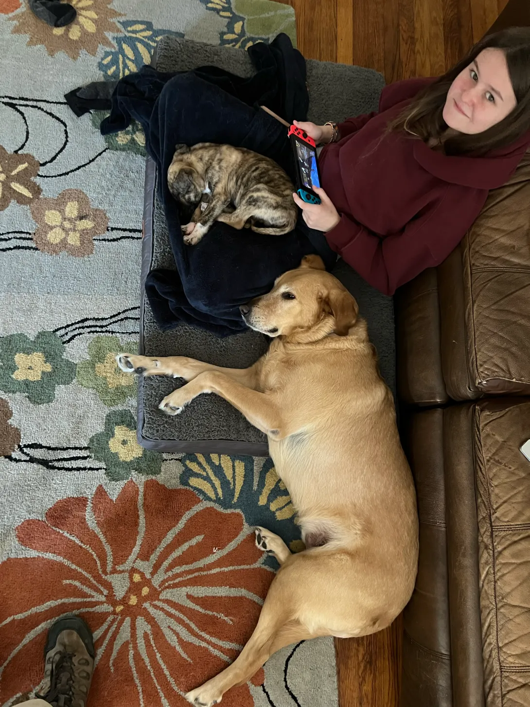 My daughter sitting with the new puppy and older dog